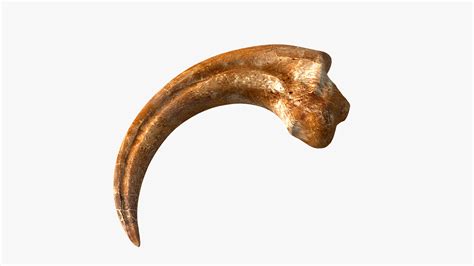 velociraptor claw real.